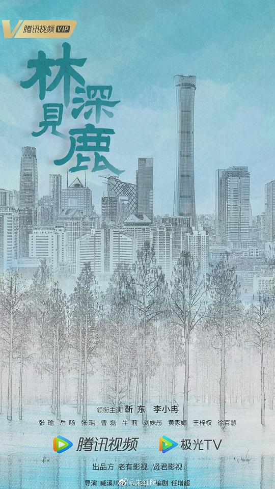 知青电视剧影视海报