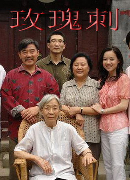 中国式相亲电视剧影视海报