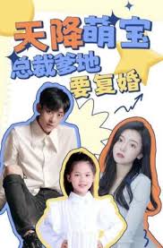 青春韶华影视海报